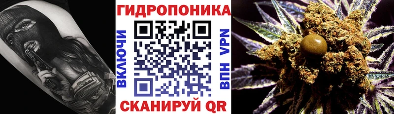 купить   Карачев  блэк спрут зеркало  Бошки Шишки THC 21% 